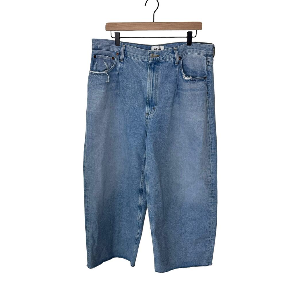 AGOLDE Dagna High Rise Pleat Baggy Denim Blue Jeans Size 32